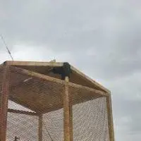 pest control near me