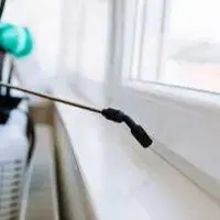pest control near me