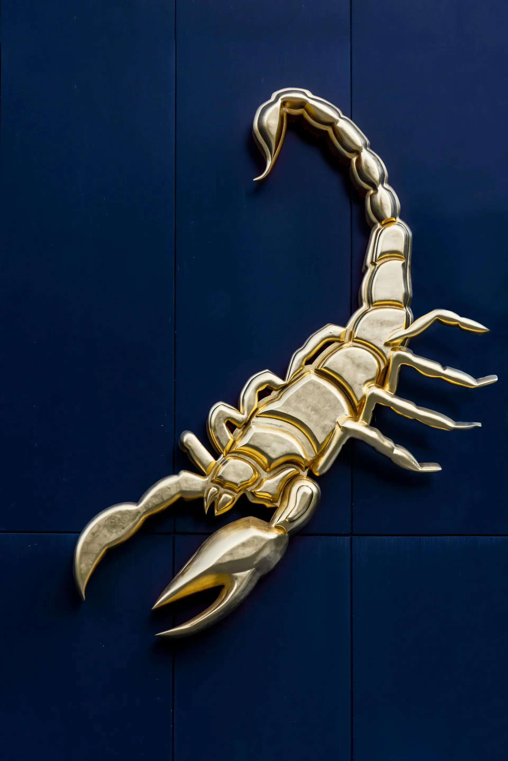 Gold-coloured scorpion against a navy blue background