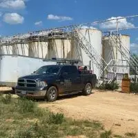 pest control near me